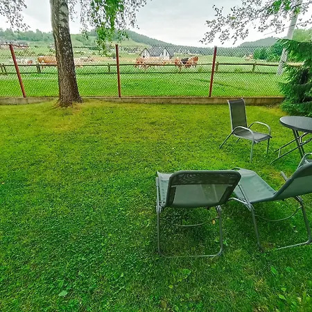 Pod Brzozami - Znizki Na Termy I Rowery ! シャレー *